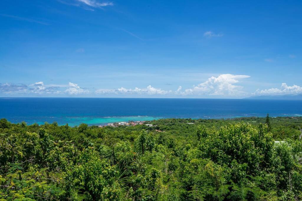 Capesterre Domaine Des Tourterelles 빌라 외부 사진