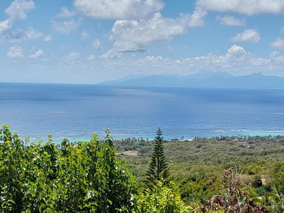 Capesterre Domaine Des Tourterelles 빌라 외부 사진